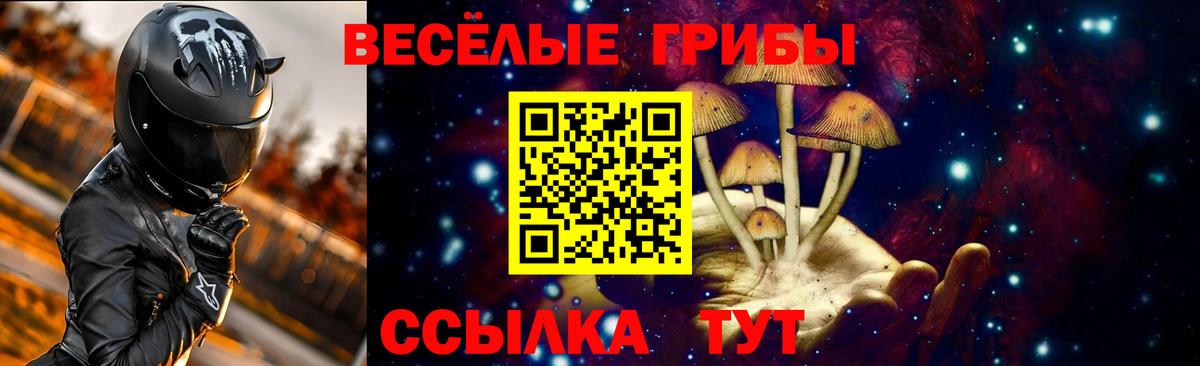 Мичуринск  Галлюциногенные грибы ЛСД  Галлюциногенные грибы Psilocybe  Вход с VPN 